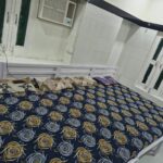 Single Six Bed Rooms whatsapp image 2026 09 23 at 3.41.42 pm